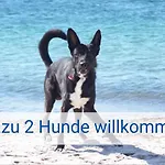 Böltser Hus Mit Strandkorb Und Kamin 10 Gehminuten Zum Kurtaxefreien Sandstrand Apartment Kraksdorf