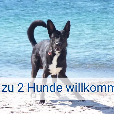 Boeltser Hus Mit Strandkorb Und Kamin 10 Gehminuten Zum Kurtaxefreien Sandstrand Διαμέρισμα Kraksdorf